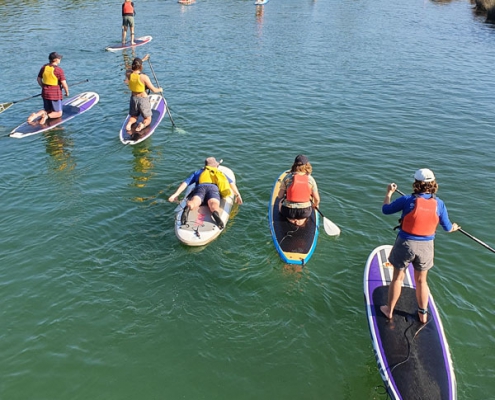 paddleboard